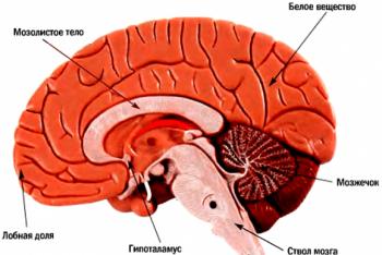 Leziuni cerebrale traumatice: simptome, clasificare, primul ajutor